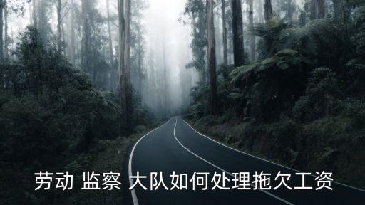  勞動 監(jiān)察 大隊如何處理拖欠工資