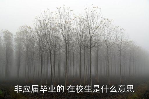 在校生是什么意思,非應(yīng)屆畢業(yè)的在校生是什么意思