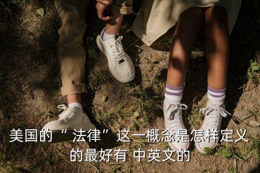 美國的“ 法律”這一概念是怎樣定義的最好有 中英文的