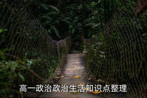 高一政治政治生活知識點整理