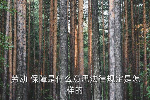 勞動(dòng)保障規(guī)章制度,用人單位內(nèi)部勞動(dòng)保障規(guī)章制度