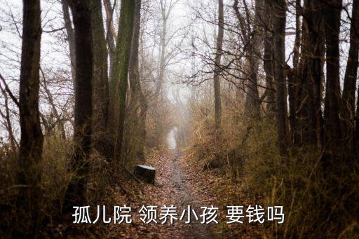 領(lǐng)養(yǎng)孩子要錢嗎,2020年福利院領(lǐng)養(yǎng)孩子要錢嗎