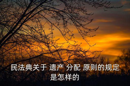 民法典關于 遺產 分配 原則的規(guī)定是怎樣的