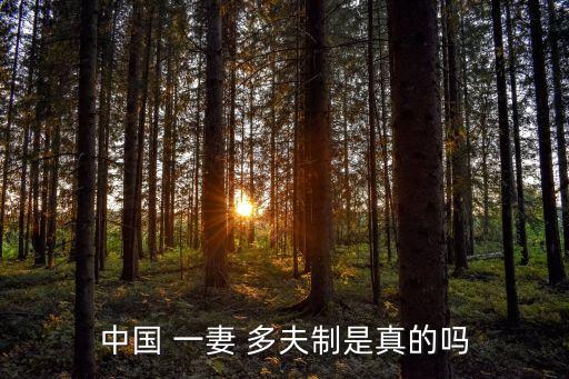 一妻多夫