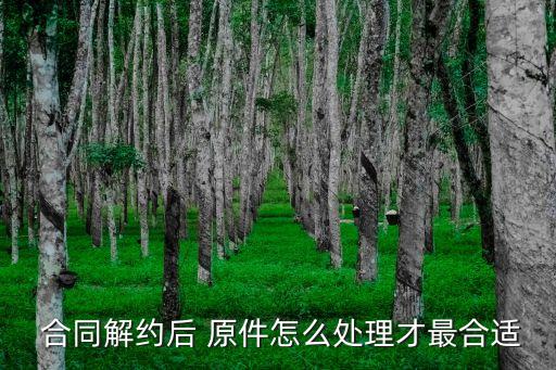  合同解約后 原件怎么處理才最合適
