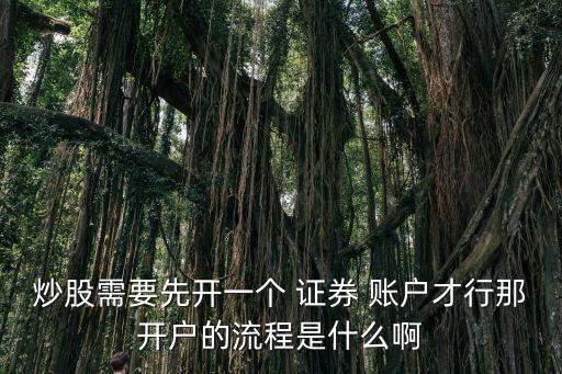 炒股需要先開(kāi)一個(gè) 證券 賬戶才行那開(kāi)戶的流程是什么啊