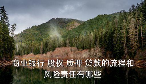 股權(quán)質(zhì)押貸款,銀行 上市公司 股權(quán)質(zhì)押貸款