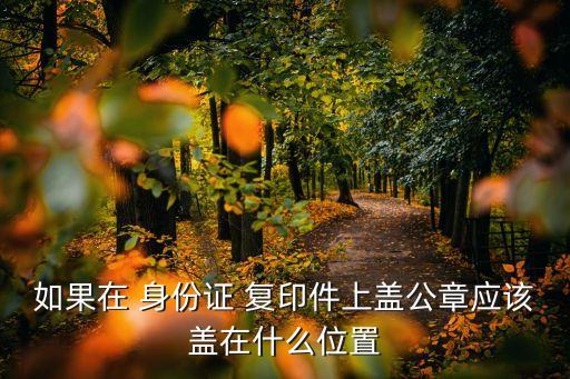 如果在 身份證 復(fù)印件上蓋公章應(yīng)該蓋在什么位置