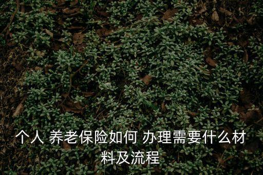 養(yǎng)老保險(xiǎn)怎么辦理,第一次繳納養(yǎng)老保險(xiǎn)怎么辦理