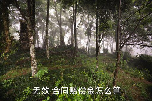  無效 合同賠償金怎么算