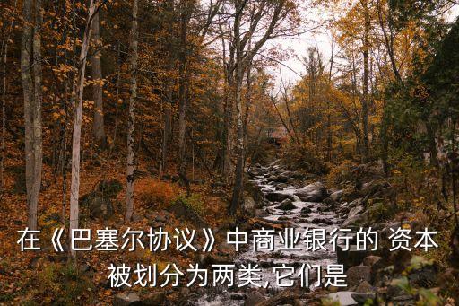 附屬資本,巴塞爾協(xié)議核心資本和附屬資本