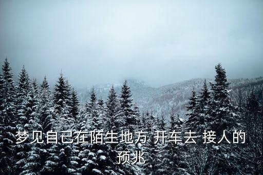 開(kāi)車(chē)接人,沈陽(yáng)站西廣場(chǎng)二樓開(kāi)車(chē)接人
