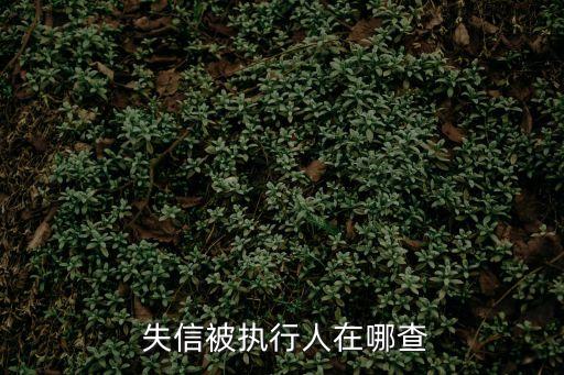 全國(guó)失信人名單