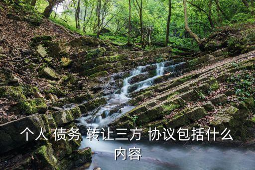個人 債務(wù) 轉(zhuǎn)讓三方 協(xié)議包括什么內(nèi)容