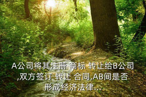 《商標(biāo)轉(zhuǎn)讓合同 協(xié)議》