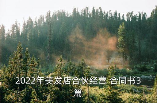 2022年美發(fā)店合伙經(jīng)營 合同書3篇