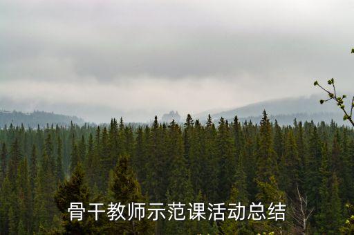 骨干教師示范課活動總結(jié)