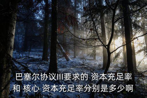 巴塞爾協(xié)議III要求的 資本充足率和 核心 資本充足率分別是多少啊