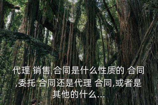 銷售合同屬于什么法律關(guān)系,學(xué)生與學(xué)校屬于什么法律關(guān)系
