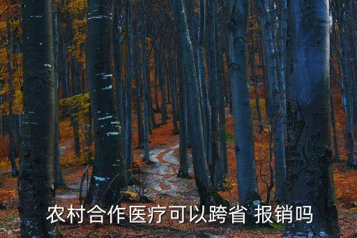 農(nóng)村醫(yī)保可以異地報(bào)銷嗎,生孩子農(nóng)村醫(yī)?？梢援惖貓?bào)銷嗎