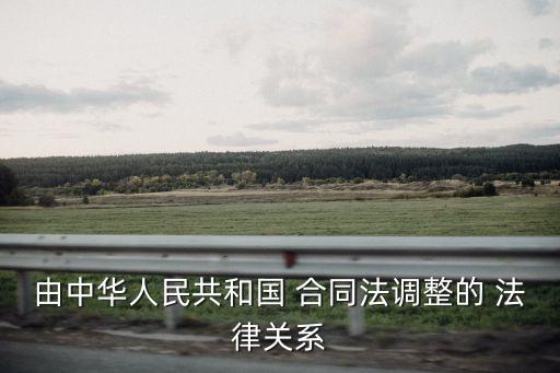 由中華人民共和國 合同法調(diào)整的 法律關(guān)系