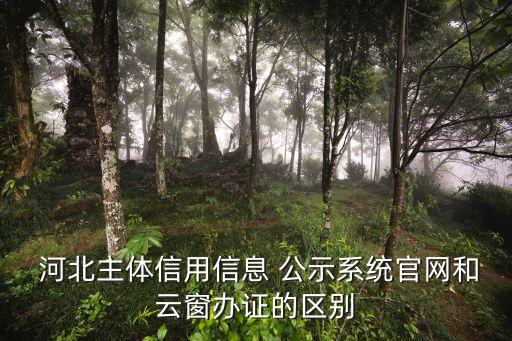  河北主體信用信息 公示系統(tǒng)官網(wǎng)和云窗辦證的區(qū)別