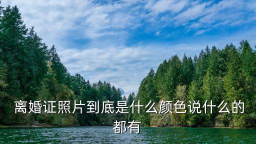  離婚證照片到底是什么顏色說什么的都有