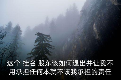 掛名股東免責(zé)協(xié)議書范本,掛名法定代表人免責(zé)協(xié)議書