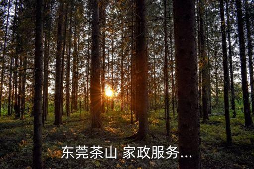 東莞茶山 家政服務…