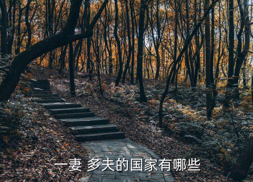  一妻 多夫的國(guó)家有哪些