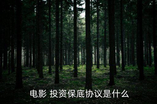 電影投資合同范本大全,個人投資協(xié)議合同范本簡單