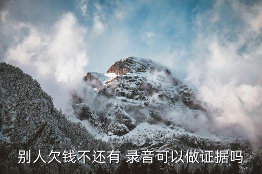 錄音對方承認(rèn)欠錢有用嗎,欠錢不還2023新執(zhí)行辦法