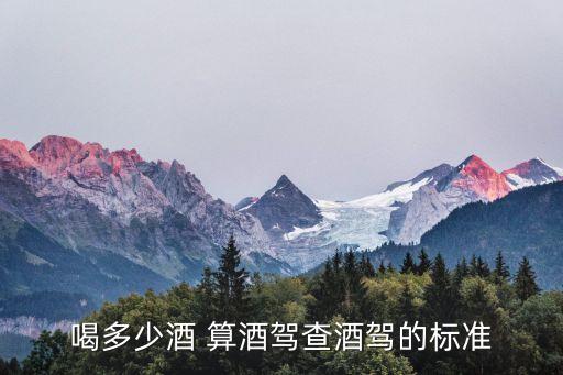 酒精測試儀多少算酒駕,吹氣酒精測試儀多少錢