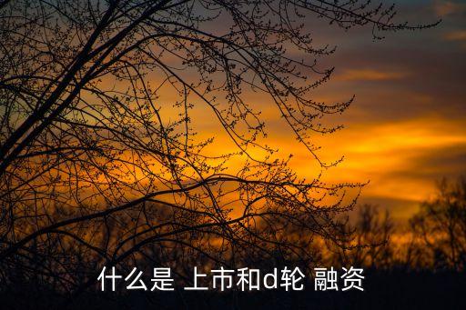 融資上市