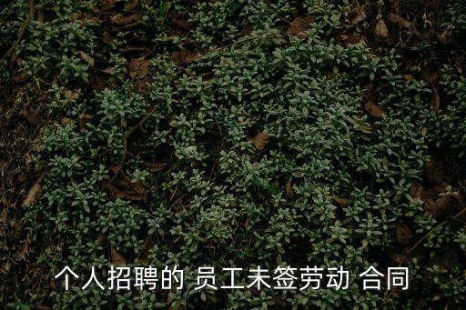 個(gè)人招聘的 員工未簽勞動(dòng) 合同