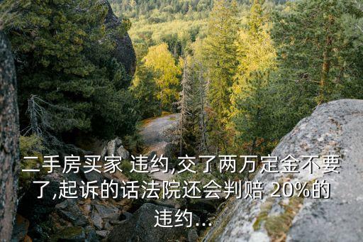 買方違約賠償20%