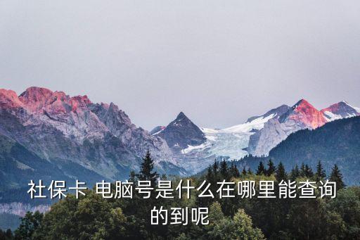 社保電腦號是什么,社保怎么在手機上自己繳費