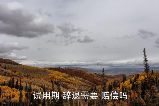 試用期內(nèi)辭退員工是否需要賠償,沒簽合同上七天班工資怎么辦