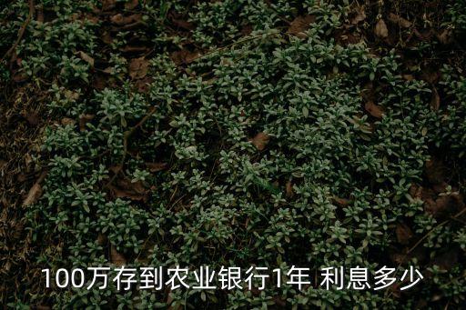 100萬(wàn)存到農(nóng)業(yè)銀行1年 利息多少
