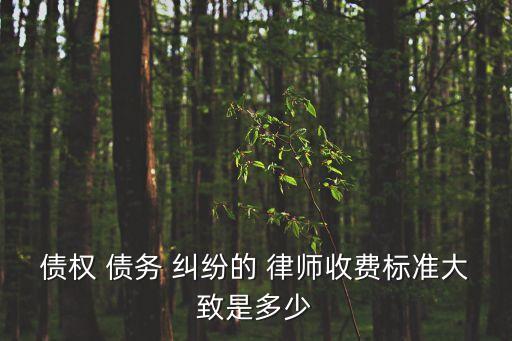 債權(quán) 債務(wù) 糾紛的 律師收費標(biāo)準(zhǔn)大致是多少