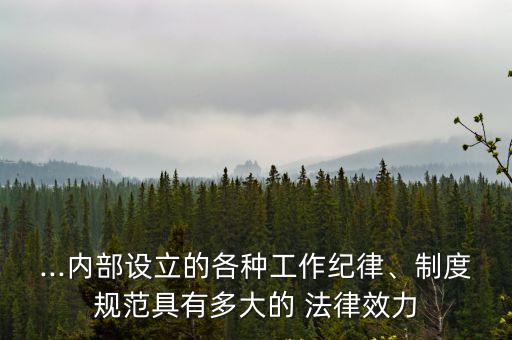 ...內部設立的各種工作紀律、制度規(guī)范具有多大的 法律效力