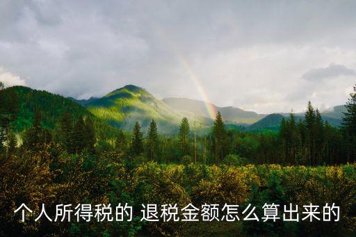 個(gè)人所得稅的 退稅金額怎么算出來(lái)的