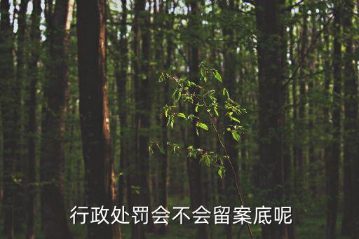  行政處罰會(huì)不會(huì)留案底呢