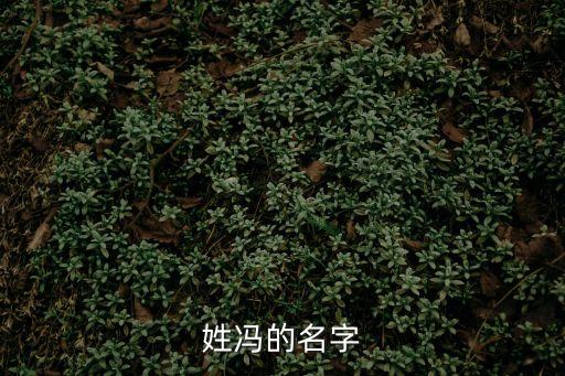 馮哲