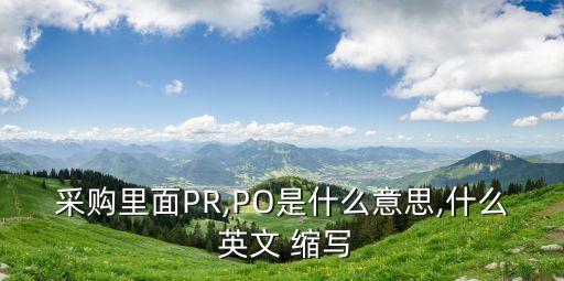 采購(gòu)里面PR,PO是什么意思,什么 英文 縮寫(xiě)