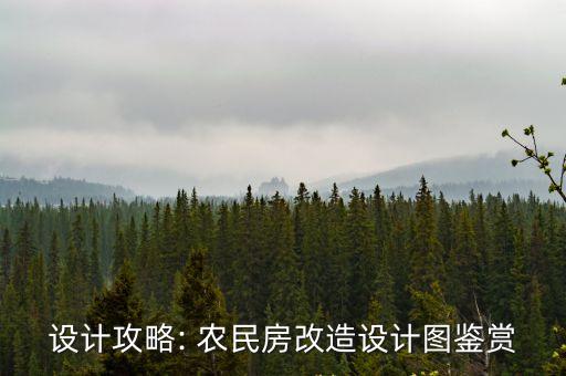 農(nóng)民房