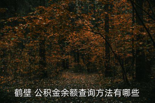 鶴壁市住房公積金