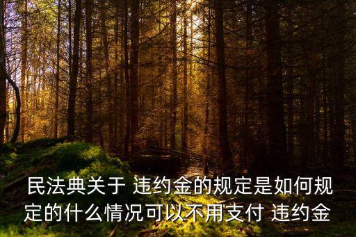  民法典關(guān)于 違約金的規(guī)定是如何規(guī)定的什么情況可以不用支付 違約金