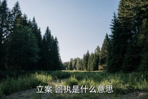 立案回執(zhí)