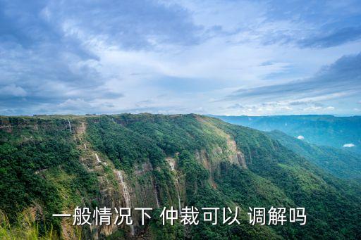 一般情況下 仲裁可以 調(diào)解嗎